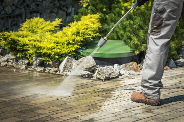 Best Pre-Holiday Cleaning  in El Portal, FL