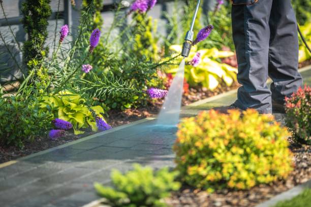 Best Fence Cleaning  in El Portal, FL